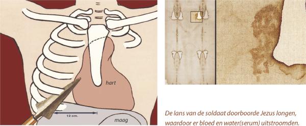 De lans van de soldaat doorboorde Jezus longen, waardoor er bloed en water(Serum) uitstroomden.